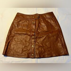 Love Riche Leather Button-Front mini skirt